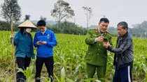 Chuyển đổi số ở Hà Tĩnh: Những câu chuyện truyền cảm hứng