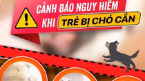 Bé gái bị 4 con chó tấn công với hàng trăm vết thương trên người