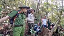Kỳ 3: Vì màu xanh của rừng, máu chiến sĩ Công an đã đổ