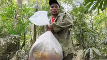Săn “lộc rừng” ở đại ngàn Trường Sơn