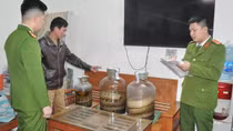 Phát hiện kho rượu ngâm rắn hổ chúa, kỳ đà