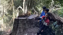 Truy bắt nhóm lâm tặc trong đêm