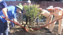 CSGT đội nắng trồng hoa, tôn tạo cảnh quan nhà ga đường sắt ở Huế