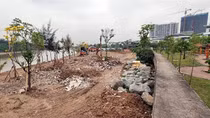 Nhức nhối tình trạng vi phạm đê điều ở Hải Phòng