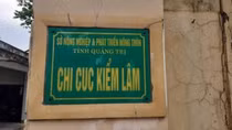 Khởi tố nguyên Chi cục trưởng Kiểm lâm Quảng Trị