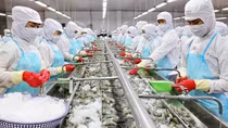 Thu hút FDI chọn lọc để chống lẩn tránh thuế