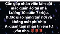 Lừa bán cây cảnh, tuyển nhân viên “cắt mác quần áo” để chiếm đoạt hàng trăm triệu đồng