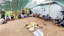 Bắt quả tang 18 đối tượng đá gà ăn tiền