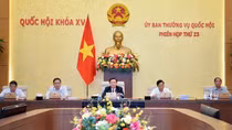 Cơ chế đặc thù nào giúp TP Hồ Chí Minh đột phá, phát triển?