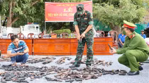 Bạc Liêu tích cực vận động người dân giao nộp vũ khí, vật liệu nổ, công cụ hỗ trợ
