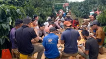 Mùa thiên di của người