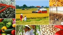 Đề xuất phân loại hợp tác xã theo 4 quy mô