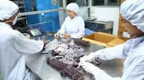 Buộc thu hồi hàng trăm triệu đồng nhập khống vật tư y tế
