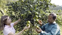 Tín dụng chính sách góp phần bảo đảm an sinh xã hội tại Cao Bằng