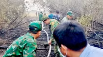 Đốt gốc rạ gây cháy rừng khu vực biên giới