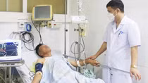 Cảnh báo ngộ độc khi ăn so biển, bạch tuộc vòng xanh