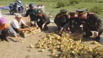 Giáo dân Quảng Bình thi đua sống tốt đời, đẹp đạo