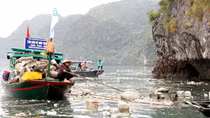 Phao xốp ngập tràn trên biển Quảng Ninh