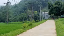 Ghen tuông, đâm bạn trai của vợ cũ tử vong
