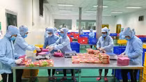 Cần ưu tiên giải quyết điểm nghẽn trong sản xuất chế biến lương thực thực phẩm