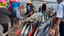 Nỗ lực tháo gỡ "thẻ vàng"