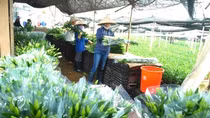 Một doanh nghiệp có vốn Nhà nước chi phối thưởng Tết 120 triệu đồng/người