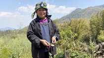 Người phụ nữ trồng gần 2.000 cây thuốc phiện trong vườn nhà