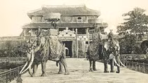 Cưỡi voi đánh trận thế nào?