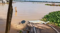 Phát hiện thi thể đang phân hủy trên sông Cổ Chiên