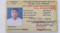 Khởi tố hai tài xế mua giấy phép lái xe ô tô giả trên mạng