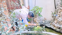 Hà Nội ghi nhận 136 ổ dịch sốt xuất huyết trong một tuần