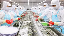 Giải bài toán tín dụng để hỗ trợ doanh nghiệp tận dụng hiệu quả FTA
