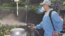 Hơn 24 nghìn ca mắc sốt xuất huyết, 3 người tử vong