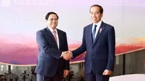 Việt Nam thúc đẩy hơn nữa quan hệ đối tác chiến lược với Indonesia