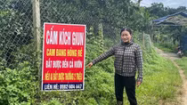 “Giun tặc” hoành hành, người nông dân như ngồi trên đống lửa