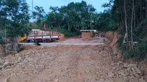 Ẩn họa từ hàng loạt trạm cân thu mua gỗ rừng trồng