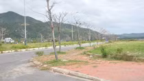 Một dự án khu đô thị mới ở Phú Yên bị bỏ dở gần 5 năm