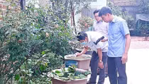 Sốt xuất huyết vẫn diễn biến khó lường