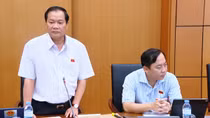 Cấp Giấy chứng nhận căn cước cho người gốc Việt là rất nhân văn