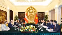 Bộ trưởng Ngoại giao Bùi Thanh Sơn đón, hội đàm với Bộ trưởng Ngoại giao Áo Alexander Schallenberg