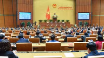Quốc hội cho phép tiếp tục sử dụng giấy đăng ký lưu hành thuốc, nguyên liệu làm thuốc