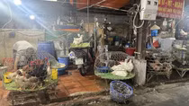 Mất an toàn thực phẩm từ giết mổ gia cầm tự phát