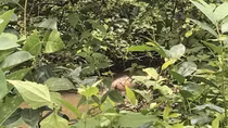 Người đàn ông tử vong dưới mương nước sau nhà