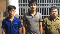 Nhóm “dơi đêm” trộm cây mai vàng trị giá gần 150 triệu đồng