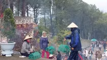 Thừa Thiên Huế khuyến cáo không mua, bán chim hoang dã để phóng sinh