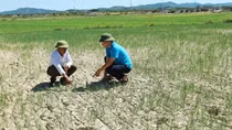 Hiện tượng El Nino sẽ gây nắng nóng kỷ lục