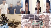 Nhóm "cẩu tặc" trộm gần 100 con chó