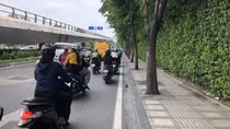 Vật liệu phủ gốc cây trên đường Trường Sơn là bê tông thấm nước