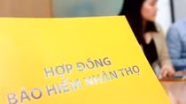 Ngân hàng không được chào bán bảo hiểm khi giải ngân khoản vay