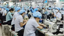 Doanh nghiệp dệt may chưa theo kịp "chứng nhận xanh"